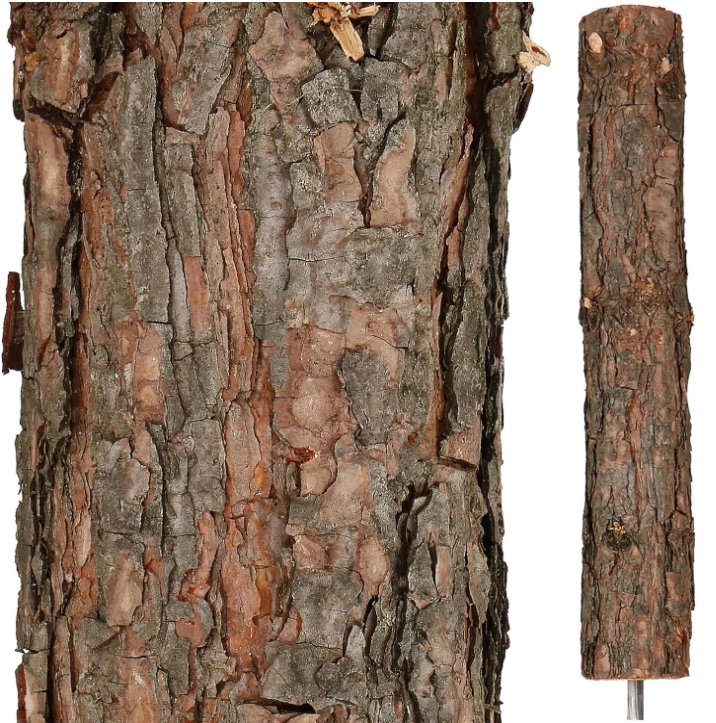 CHOINKA NA PNIU - NATURALNA SOSNA DIAMENTOWA + STOJAK