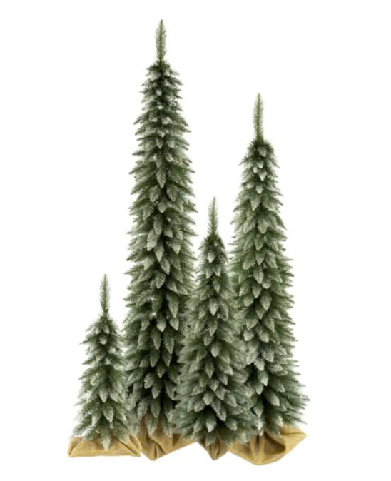 CHOINKA SLIM ŚWIERK TATRZAŃSKI - OŚNIEŻONY