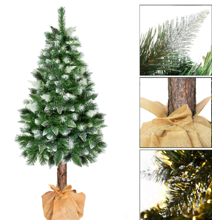 CHOINKA NA PNIU - NATURALNA SOSNA DIAMENTOWA + STOJAK