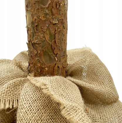 CHOINKA NA PNIU OŚNIEŻONA Z SZYSZKAMI