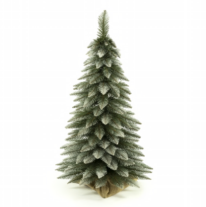 CHOINKA SLIM ŚWIERK TATRZAŃSKI - OŚNIEŻONY