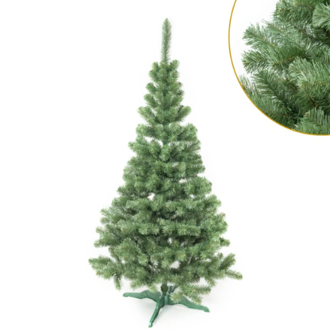 CHOINKA JODŁA KLASYCZNA