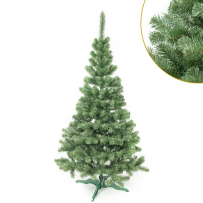 CHOINKA JODŁA KLASYCZNA