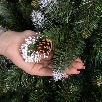 CHOINKA KLASYCZNA SOSNA DIAMENTOWA - OŚNIEŻONA