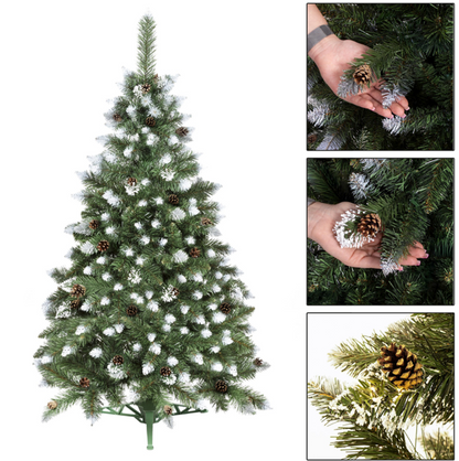 CHOINKA KLASYCZNA SOSNA DIAMENTOWA - OŚNIEŻONA