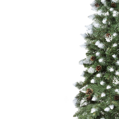 CHOINKA KLASYCZNA SOSNA DIAMENTOWA - OŚNIEŻONA