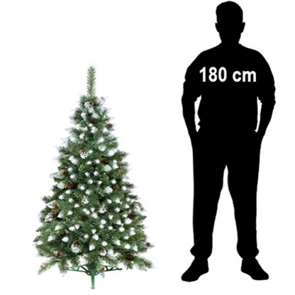 CHOINKA KLASYCZNA SOSNA DIAMENTOWA - OŚNIEŻONA