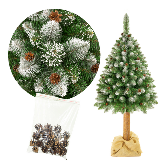 CHOINKA NA PNIU OŚNIEŻONA Z SZYSZKAMI